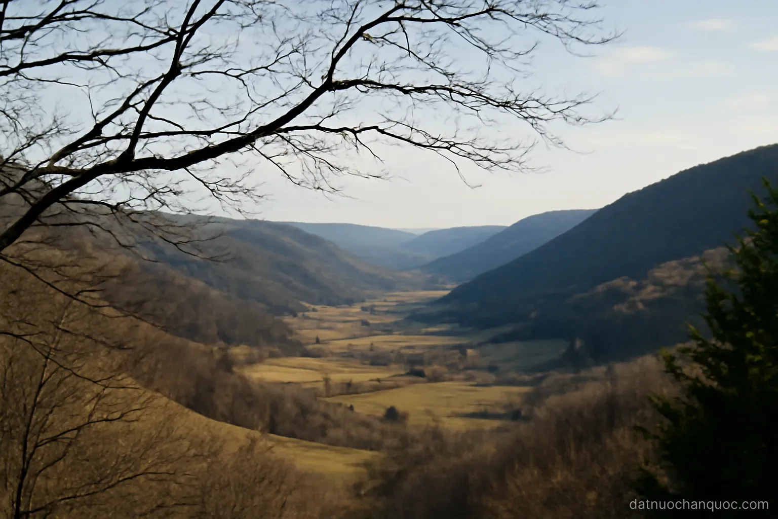 the same wide valley shown under bare winter branches and again under full summer foliage